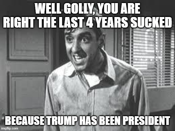 Gomer Pyle | WELL GOLLY, YOU ARE RIGHT THE LAST 4 YEARS SUCKED BECAUSE TRUMP HAS BEEN PRESIDENT | image tagged in gomer pyle | made w/ Imgflip meme maker