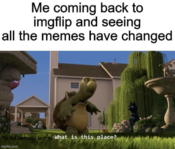 Beesechurger | Me coming back to imgflip and seeing all the memes have changed; 'tis not mematic, look its | image tagged in what is this place | made w/ Imgflip meme maker