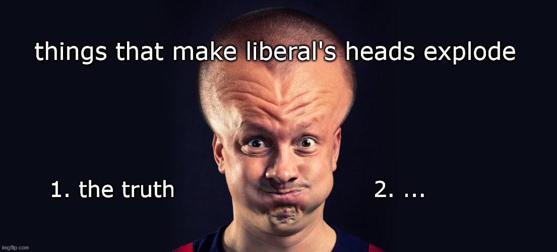 things that make liberals heads explode | things that make liberal's heads explode; 1. the truth                          2. ... | image tagged in politics | made w/ Imgflip meme maker