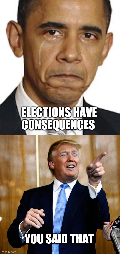 ELECTIONS HAVE CONSEQUENCES; YOU SAID THAT | image tagged in obama crying,donal trump birthday | made w/ Imgflip meme maker