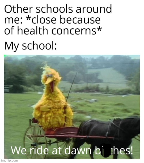 my school | image tagged in gotanypain | made w/ Imgflip meme maker