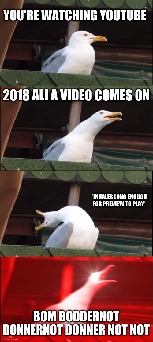 Inhaling Seagull | YOU'RE WATCHING YOUTUBE; 2018 ALI A VIDEO COMES ON; *INHALES LONG ENOUGH FOR PREVIEW TO PLAY*; BOM BODDERNOT DONNERNOT DONNER NOT NOT | image tagged in memes,inhaling seagull | made w/ Imgflip meme maker