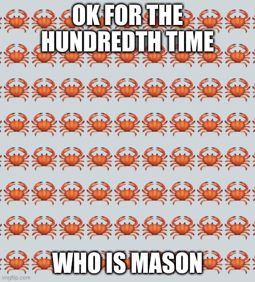 WHO IS HE | OK FOR THE HUNDREDTH TIME; WHO IS MASON | image tagged in crab background | made w/ Imgflip meme maker