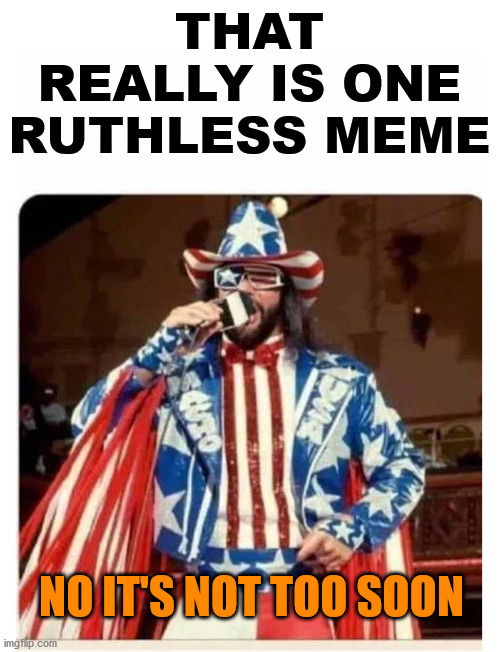 Savage america | THAT REALLY IS ONE RUTHLESS MEME NO IT'S NOT TOO SOON | image tagged in savage america | made w/ Imgflip meme maker