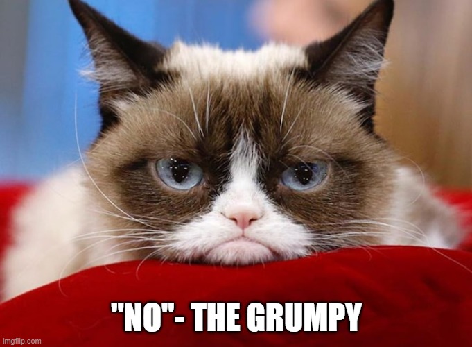 "NO"- THE GRUMPY | made w/ Imgflip meme maker