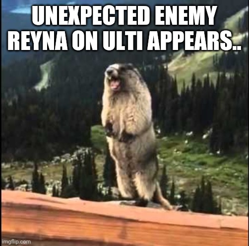 Screaming beaver | UNEXPECTED ENEMY REYNA ON ULTI APPEARS.. | image tagged in screaming beaver | made w/ Imgflip meme maker