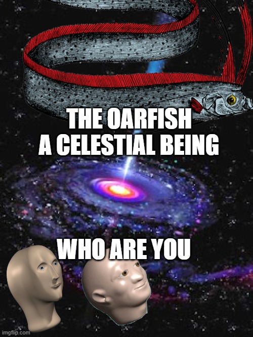 Cosmic Knowledge | THE OARFISH A CELESTIAL BEING; WHO ARE YOU | image tagged in cosmic knowledge | made w/ Imgflip meme maker