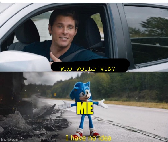 sonic how are you not dead | WHO WOULD WIN? ME | image tagged in sonic how are you not dead | made w/ Imgflip meme maker