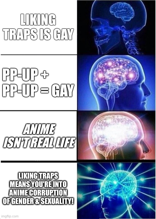 Liking traps is gay | LIKING TRAPS IS GAY; PP-UP + PP-UP = GAY; ANIME ISN'T REAL LIFE; LIKING TRAPS MEANS YOU'RE INTO ANIME CORRUPTION OF GENDER & SEXUALITY! | image tagged in memes,expanding brain,lostpause | made w/ Imgflip meme maker