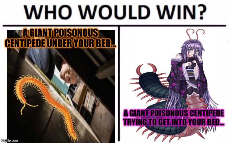 Creepy crawlies | A GIANT POISONOUS CENTIPEDE UNDER YOUR BED... A GIANT POISONOUS CENTIPEDE TRYING TO GET INTO YOUR BED... | image tagged in memes,who would win,poison,bugs,anime girl,monsters | made w/ Imgflip meme maker