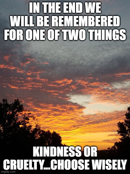 Choose | IN THE END WE WILL BE REMEMBERED FOR ONE OF TWO THINGS; KINDNESS OR CRUELTY...CHOOSE WISELY | image tagged in thoughtful | made w/ Imgflip meme maker