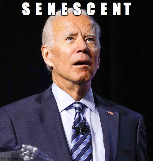 Joe Biden | S  E  N  E  S  C  E  N T | image tagged in joe biden | made w/ Imgflip meme maker