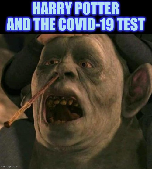 I don’t know about this new movie ... | HARRY POTTER AND THE COVID-19 TEST | image tagged in harry potter,magic wand,covid-19,test,movie,memes | made w/ Imgflip meme maker