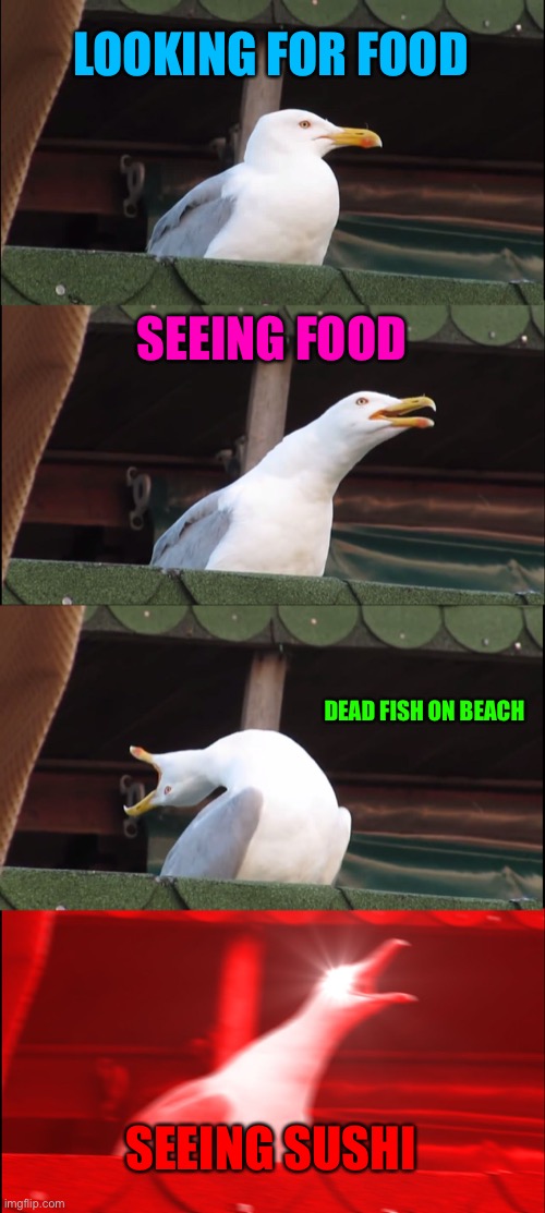 Ur dumb | LOOKING FOR FOOD; SEEING FOOD; DEAD FISH ON BEACH; SEEING SUSHI | image tagged in memes,inhaling seagull | made w/ Imgflip meme maker