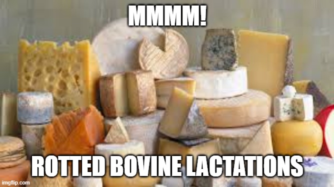 Auditors on Cheese | MMMM! ROTTED BOVINE LACTATIONS | image tagged in discworld,cheese,thief of time,auditors,rotted bovine lactations | made w/ Imgflip meme maker