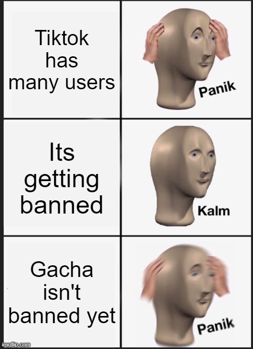 :0 then :DDDDD then :_( | Tiktok has many users; Its getting banned; Gacha isn't banned yet | image tagged in memes,panik kalm panik | made w/ Imgflip meme maker