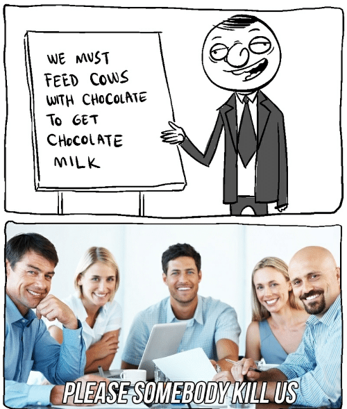 High Quality Feed cows with chocolate Blank Meme Template