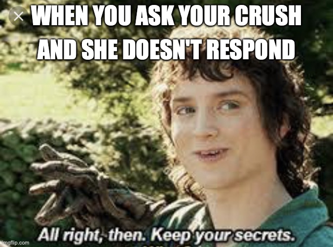 Asking your crush | AND SHE DOESN'T RESPOND; WHEN YOU ASK YOUR CRUSH | image tagged in all right then keep your secrets,crush | made w/ Imgflip meme maker