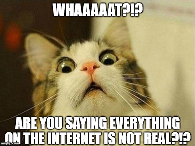 Scared Cat Meme | WHAAAAAT?!? ARE YOU SAYING EVERYTHING ON THE INTERNET IS NOT REAL?!? | image tagged in memes,scared cat | made w/ Imgflip meme maker