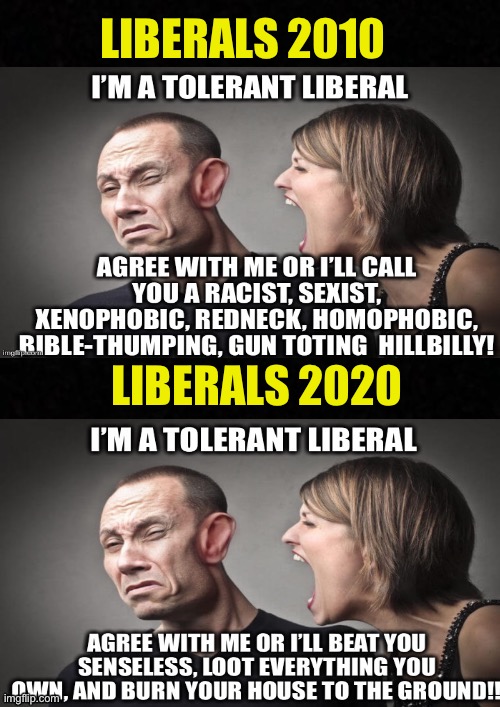 How times have changed | LIBERALS 2010; LIBERALS 2020 | image tagged in liberal logic,liberal hypocrisy,democrats,democratic party,election 2020,memes | made w/ Imgflip meme maker