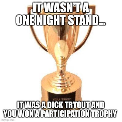 Participation trophy | IT WASN’T A ONE NIGHT STAND... IT WAS A DICK TRYOUT AND YOU WON A PARTICIPATION TROPHY | image tagged in participation trophy | made w/ Imgflip meme maker