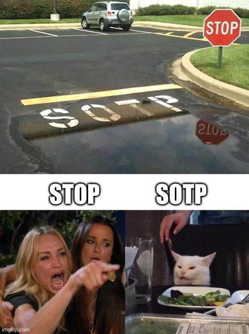 Woman Yelling at Cat: Sotp Stop (Inspired by Trooper38-Tifflamemez) | STOP; SOTP | image tagged in memes,you had one job,woman yelling at cat,stop | made w/ Imgflip meme maker