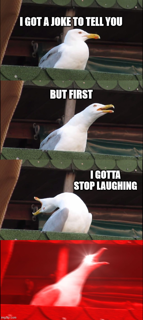 Inhaling Seagull Meme | I GOT A JOKE TO TELL YOU; BUT FIRST; I GOTTA STOP LAUGHING | image tagged in memes,inhaling seagull | made w/ Imgflip meme maker