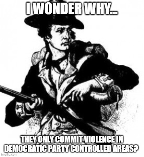 minuteman | I WONDER WHY... THEY ONLY COMMIT VIOLENCE IN DEMOCRATIC PARTY CONTROLLED AREAS? | image tagged in minuteman | made w/ Imgflip meme maker