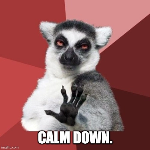 Chill Out Lemur Meme | CALM DOWN. | image tagged in memes,chill out lemur | made w/ Imgflip meme maker