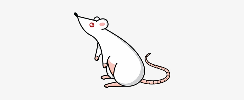 rat Blank Meme Template