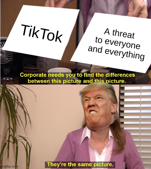 yes | TikTok; A threat to everyone and everything | image tagged in memes,they're the same picture,trump,donald trump,tik tok,tiktok | made w/ Imgflip meme maker