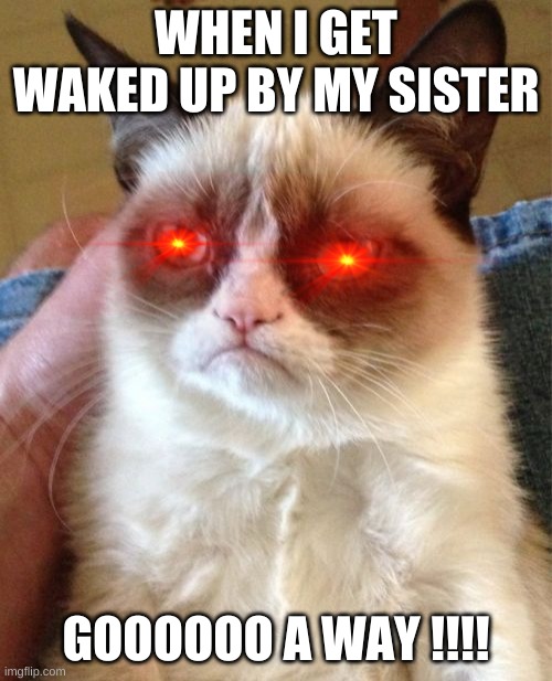 gumpy me | WHEN I GET WAKED UP BY MY SISTER; GOOOOOO A WAY !!!! | image tagged in memes,grumpy cat | made w/ Imgflip meme maker