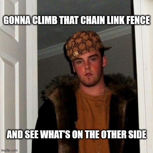 Scumbag Steve | GONNA CLIMB THAT CHAIN LINK FENCE; AND SEE WHAT'S ON THE OTHER SIDE | image tagged in memes,scumbag steve | made w/ Imgflip meme maker