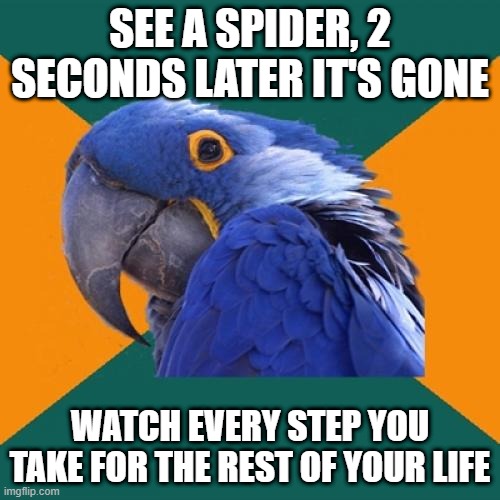 Paranoid Parrot Meme | SEE A SPIDER, 2 SECONDS LATER IT'S GONE; WATCH EVERY STEP YOU TAKE FOR THE REST OF YOUR LIFE | image tagged in memes,paranoid parrot | made w/ Imgflip meme maker