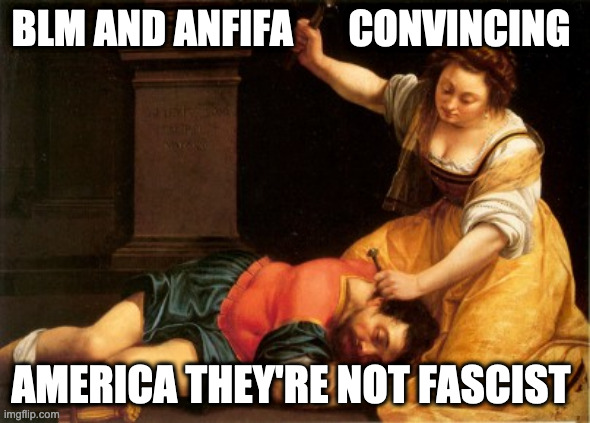 Blow to the head | BLM AND ANFIFA       CONVINCING; AMERICA THEY'RE NOT FASCIST | image tagged in barroco artemisa gentileschi,blm,antifa,democrats,memes,funny | made w/ Imgflip meme maker