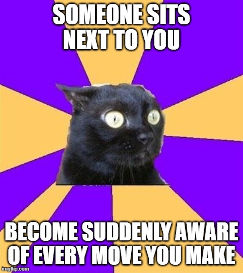 anxiety cat | SOMEONE SITS NEXT TO YOU; BECOME SUDDENLY AWARE OF EVERY MOVE YOU MAKE | image tagged in anxiety cat | made w/ Imgflip meme maker