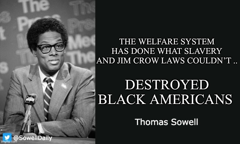 Thomas Sowell | THE WELFARE SYSTEM HAS DONE WHAT SLAVERY AND JIM CROW LAWS COULDN’T .. DESTROYED BLACK AMERICANS | image tagged in thomas sowell | made w/ Imgflip meme maker