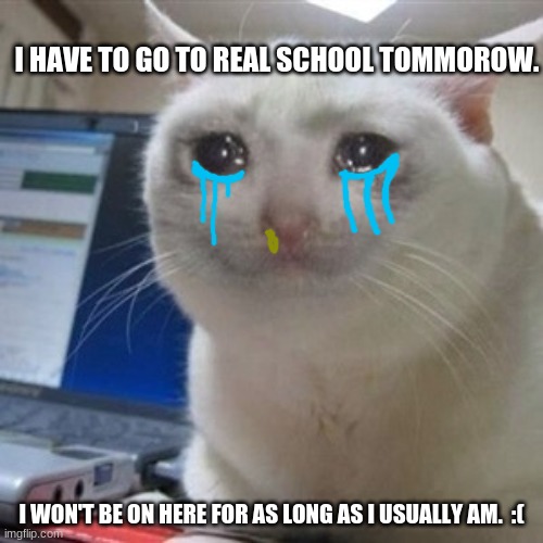 School | I HAVE TO GO TO REAL SCHOOL TOMMOROW. I WON'T BE ON HERE FOR AS LONG AS I USUALLY AM.  :( | image tagged in crying cat,cat,meme,sad,school | made w/ Imgflip meme maker
