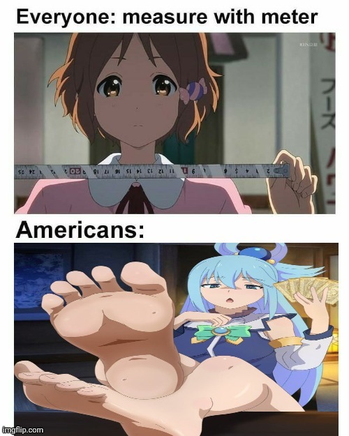 Americans measure by feet | image tagged in metric,feet,americans,foot fetish,measure,anime | made w/ Imgflip meme maker