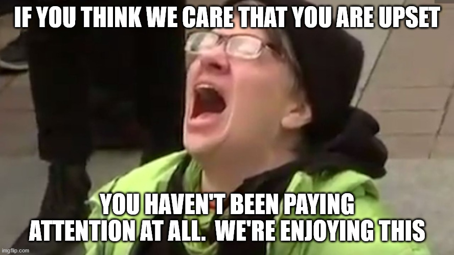 Scream all you want.... | IF YOU THINK WE CARE THAT YOU ARE UPSET; YOU HAVEN'T BEEN PAYING ATTENTION AT ALL.  WE'RE ENJOYING THIS | image tagged in screaming liberal,riots,portland,election 2020 | made w/ Imgflip meme maker