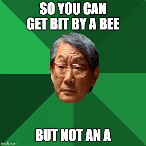 High Expectations Asian Father Meme | SO YOU CAN GET BIT BY A BEE; BUT NOT AN A | image tagged in memes,high expectations asian father | made w/ Imgflip meme maker