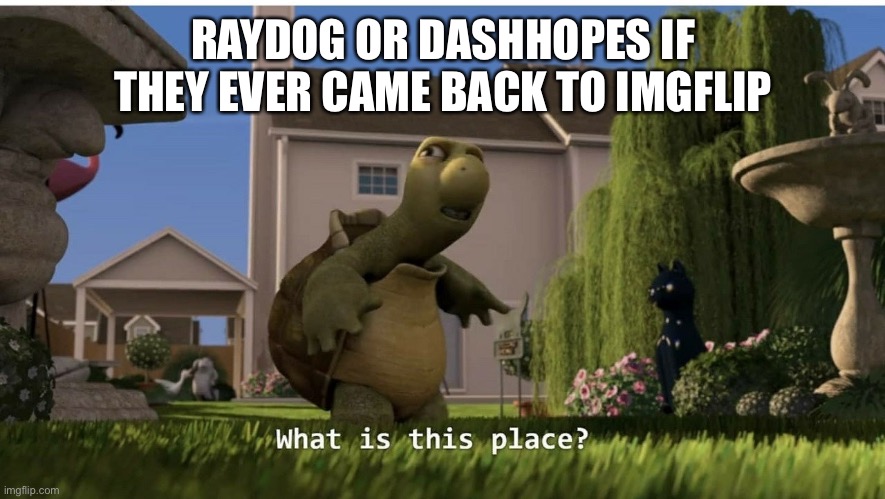 what is this place | RAYDOG OR DASHHOPES IF THEY EVER CAME BACK TO IMGFLIP | image tagged in what is this place,memes,raydog,dashhopes | made w/ Imgflip meme maker