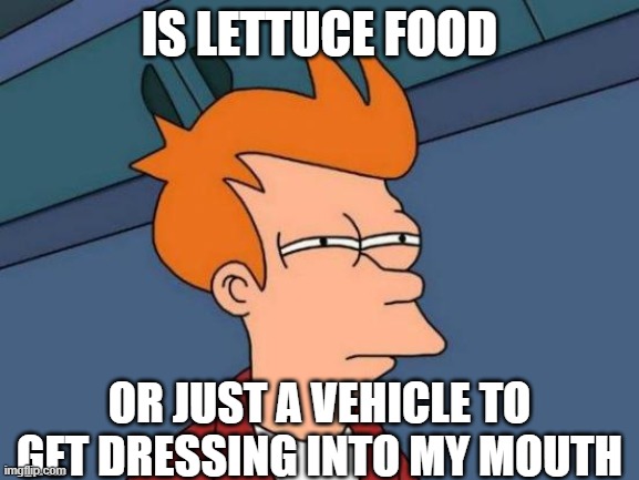 Futurama Fry Meme | IS LETTUCE FOOD OR JUST A VEHICLE TO GET DRESSING INTO MY MOUTH | image tagged in memes,futurama fry | made w/ Imgflip meme maker