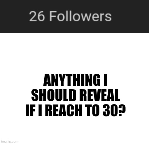 anything i should reveal if i reach to 30 followers | ANYTHING I SHOULD REVEAL IF I REACH TO 30? | image tagged in blank white template | made w/ Imgflip meme maker