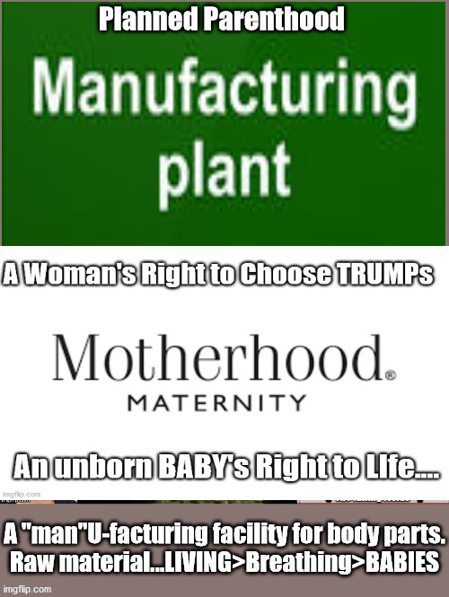An Unborn's RIGHT to LIFE taken away by the COURT, not by "We the People" | image tagged in just sayin,manufacturing plant,abortion,a canard,ginsburg | made w/ Imgflip meme maker