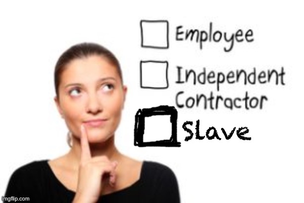 Anyone who thinks the 3rd box is a valid category that means no wages are owed is ratifying Confederate logic after the fact. | Slave | image tagged in employee independent contractor,confederate,conservative logic,racism,racist,slavery | made w/ Imgflip meme maker