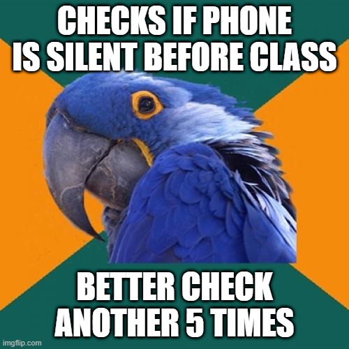 Paranoid Parrot Meme - Imgflip