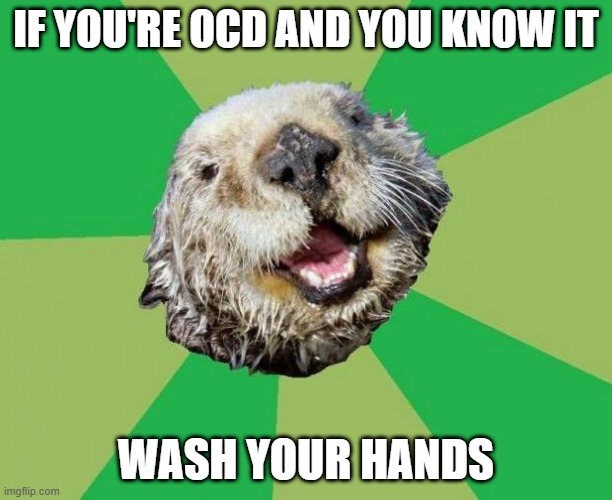 OCD Otter | IF YOU'RE OCD AND YOU KNOW IT; WASH YOUR HANDS | image tagged in ocd otter | made w/ Imgflip meme maker