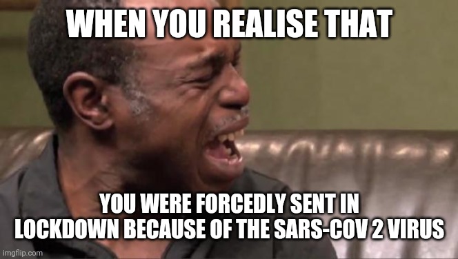 i cri evrytiem |  WHEN YOU REALISE THAT; YOU WERE FORCEDLY SENT IN LOCKDOWN BECAUSE OF THE SARS-COV 2 VIRUS | image tagged in best cry ever,memes,coronavirus,covid-19,sars-cov-2,lockdown | made w/ Imgflip meme maker