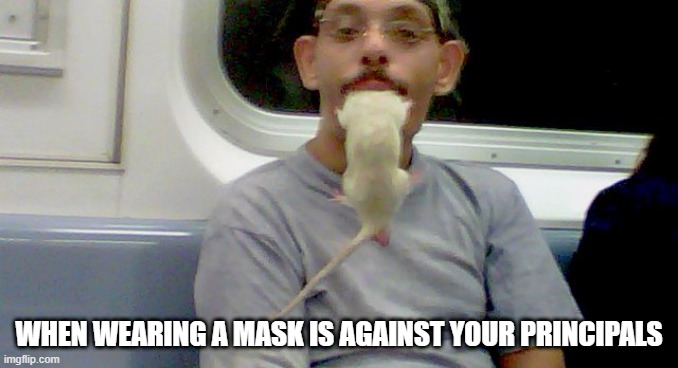 rat licker | WHEN WEARING A MASK IS AGAINST YOUR PRINCIPALS | image tagged in funny | made w/ Imgflip meme maker